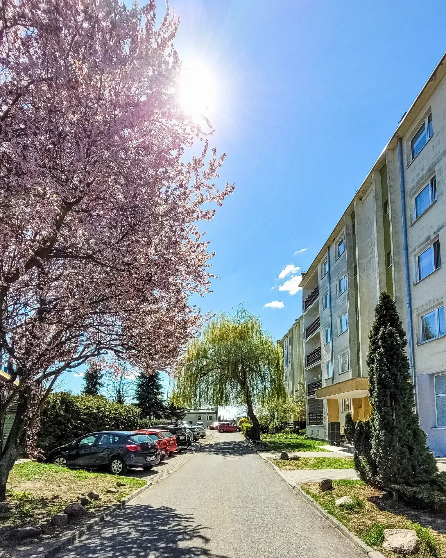 Osowa Góra | 3 pokoje | 65 m² | Parking | Las 6